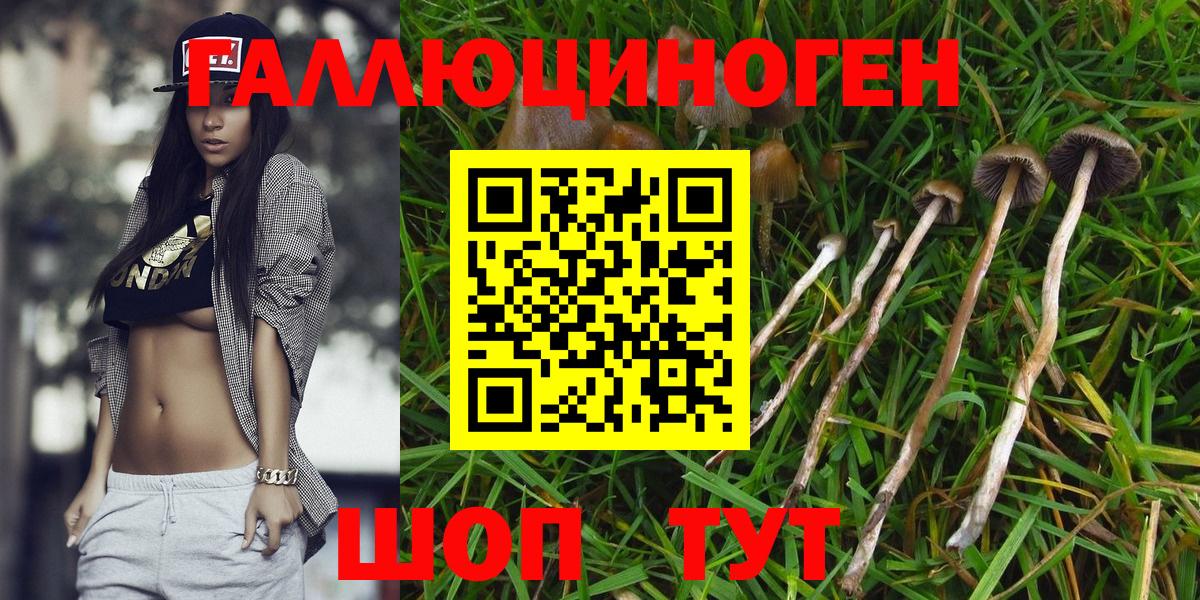 Меф Владимир