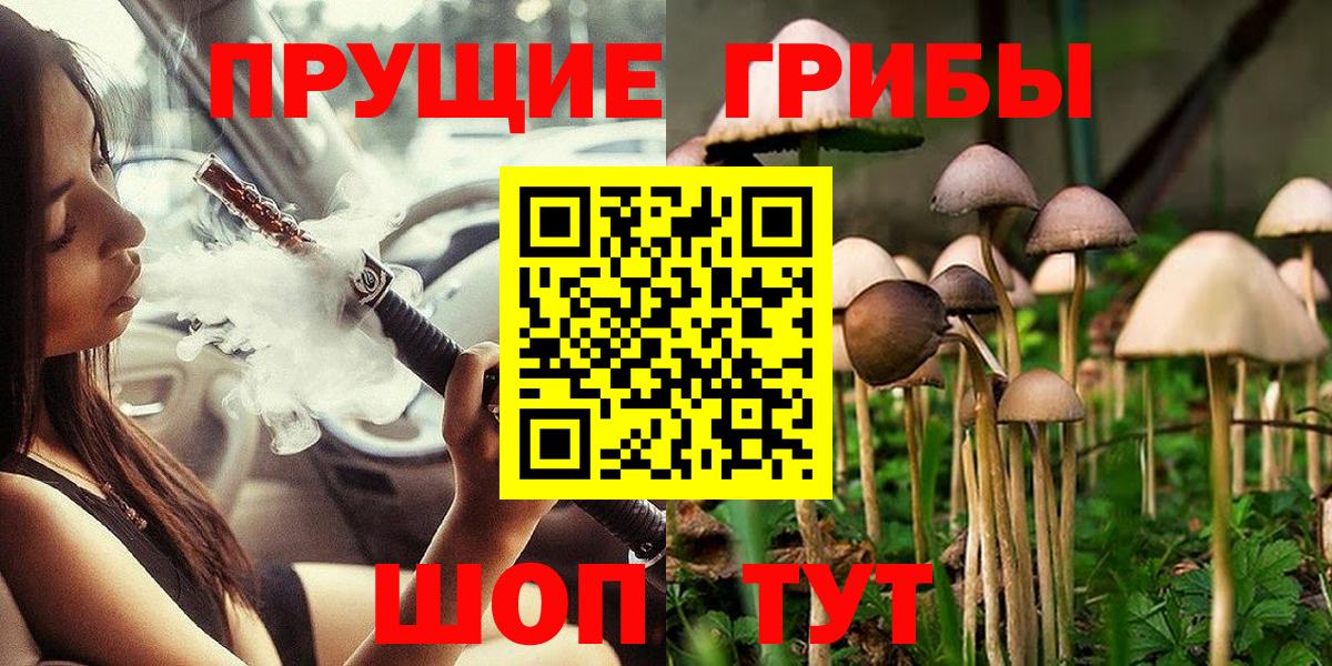 Псилоцибиновые грибы Psilocybe  Псилоцибиновые грибы Psilocybe  где купить наркоту  Вход с VPN  Владимир 